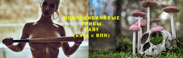 ECSTASY Краснослободск