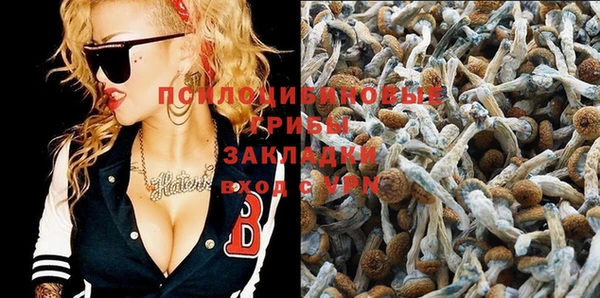 ECSTASY Краснослободск