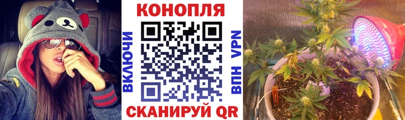 МАРИХУАНА семена  Малгобек 